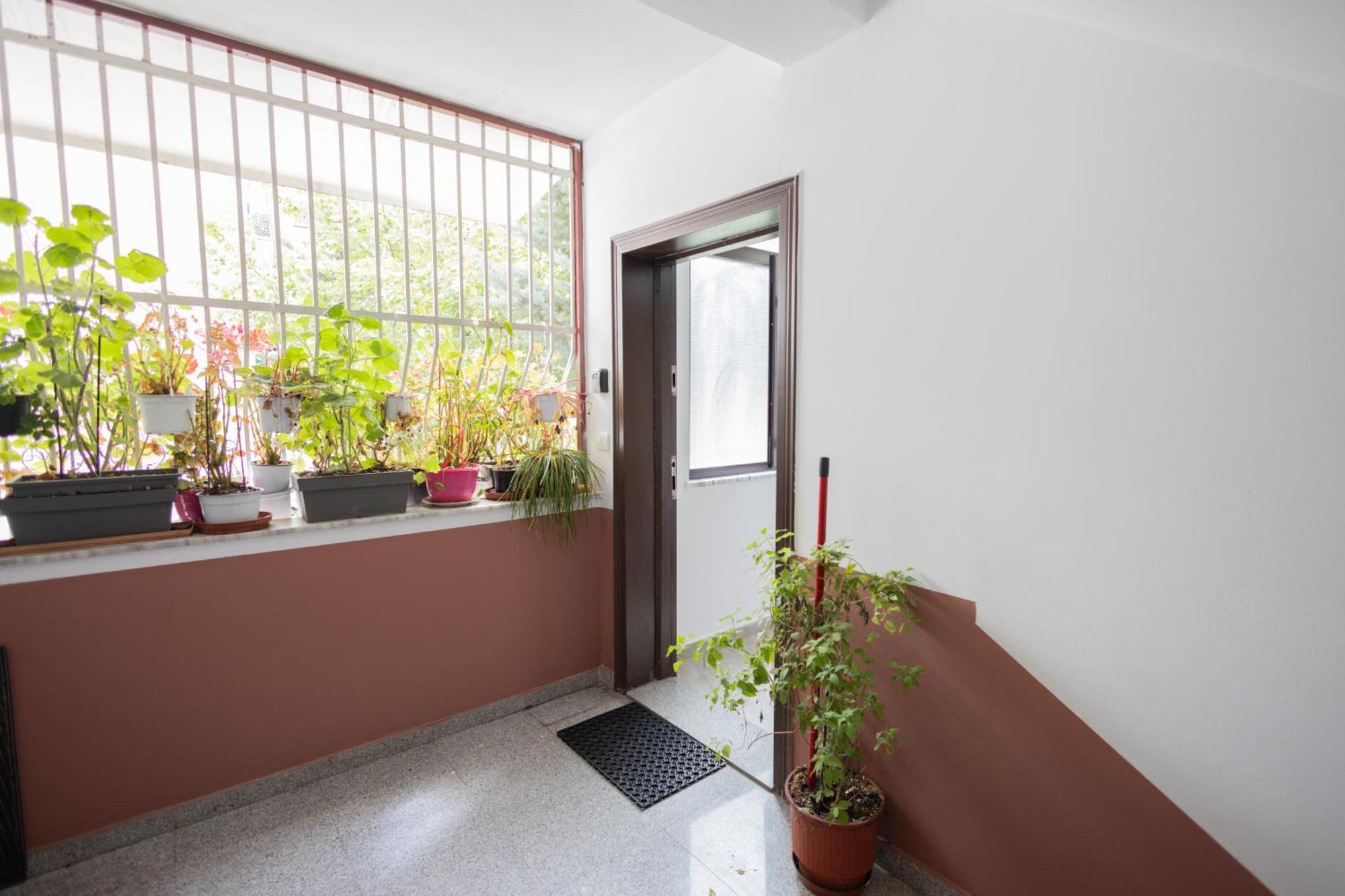 Apartment Kler-elegant Ali Demi